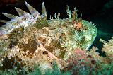 2009-09-08 13-03-22Li